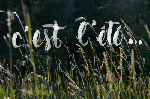 Bonne continuation à tous !